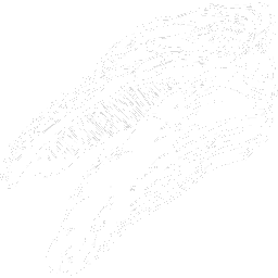 Astrocetus